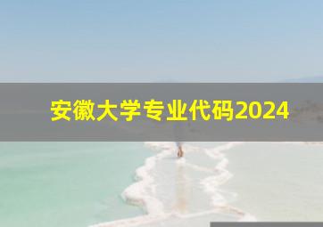 安徽大学专业代码2024