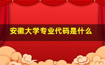 安徽大学专业代码是什么