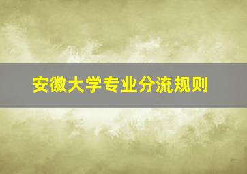 安徽大学专业分流规则