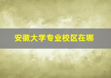 安徽大学专业校区在哪