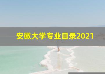 安徽大学专业目录2021