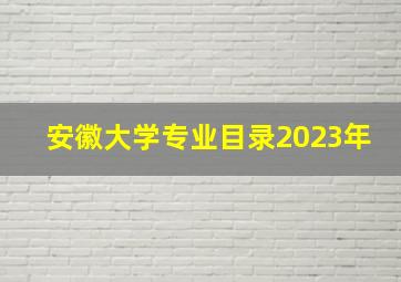 安徽大学专业目录2023年