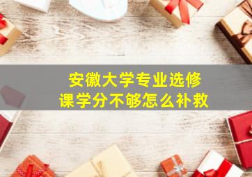 安徽大学专业选修课学分不够怎么补救