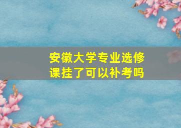 安徽大学专业选修课挂了可以补考吗