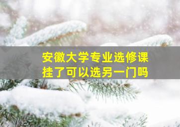 安徽大学专业选修课挂了可以选另一门吗