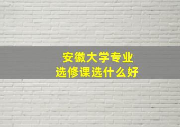 安徽大学专业选修课选什么好