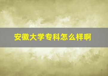 安徽大学专科怎么样啊