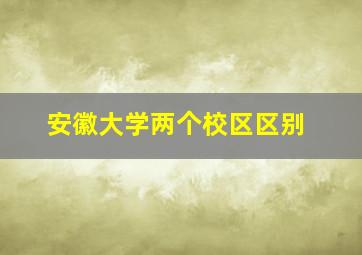 安徽大学两个校区区别