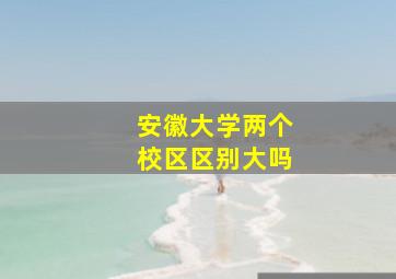 安徽大学两个校区区别大吗