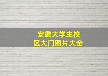 安徽大学主校区大门图片大全