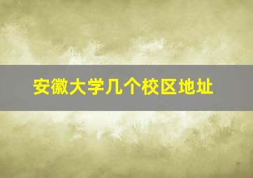 安徽大学几个校区地址