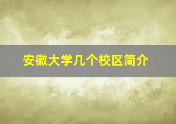 安徽大学几个校区简介