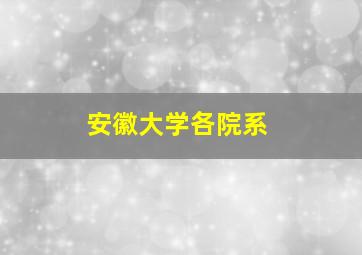 安徽大学各院系