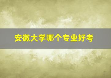 安徽大学哪个专业好考