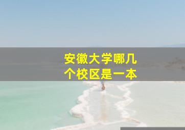 安徽大学哪几个校区是一本