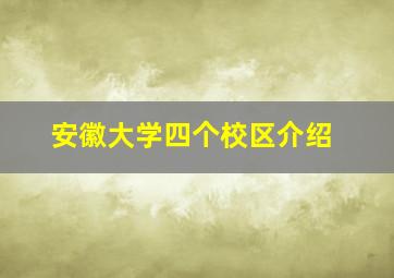 安徽大学四个校区介绍