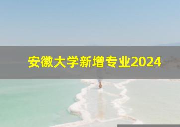 安徽大学新增专业2024