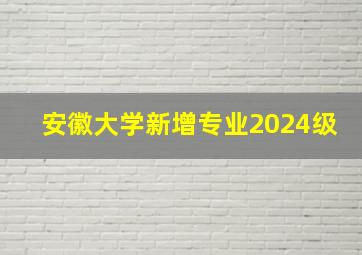 安徽大学新增专业2024级