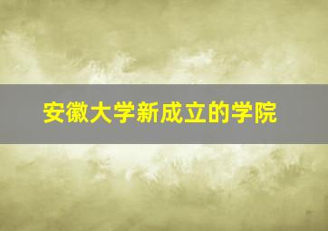 安徽大学新成立的学院