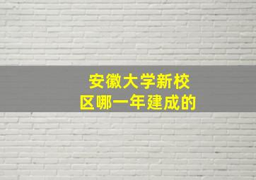 安徽大学新校区哪一年建成的