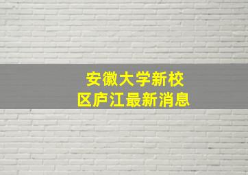 安徽大学新校区庐江最新消息