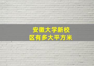 安徽大学新校区有多大平方米