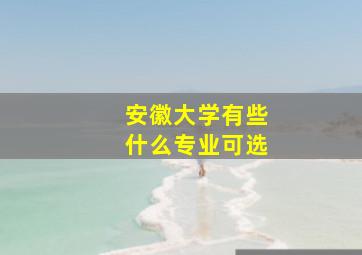 安徽大学有些什么专业可选