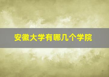 安徽大学有哪几个学院