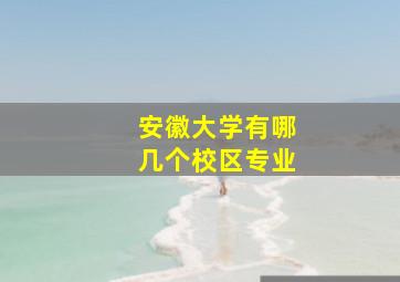 安徽大学有哪几个校区专业