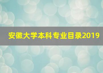 安徽大学本科专业目录2019