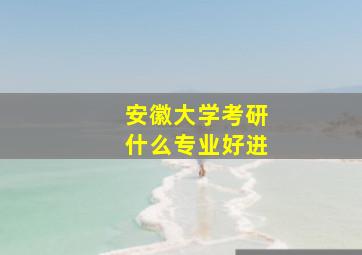 安徽大学考研什么专业好进