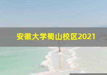 安徽大学蜀山校区2021