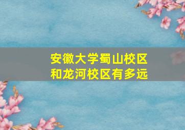 安徽大学蜀山校区和龙河校区有多远