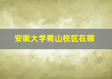 安徽大学蜀山校区在哪