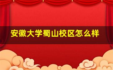 安徽大学蜀山校区怎么样