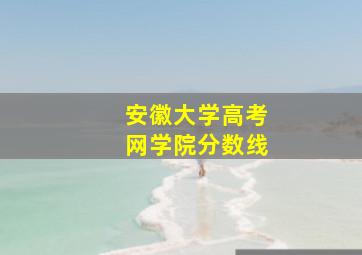 安徽大学高考网学院分数线