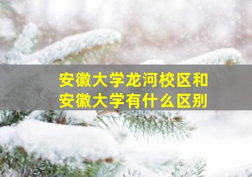 安徽大学龙河校区和安徽大学有什么区别