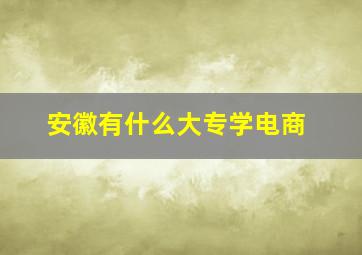 安徽有什么大专学电商