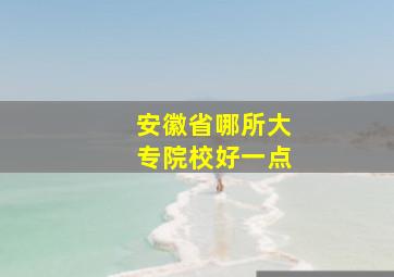 安徽省哪所大专院校好一点