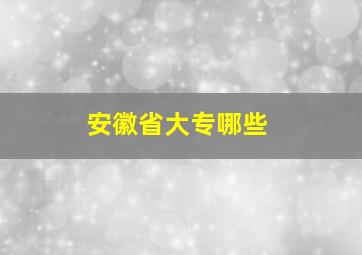 安徽省大专哪些