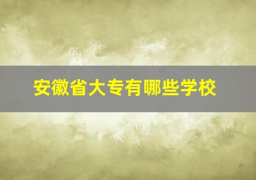 安徽省大专有哪些学校