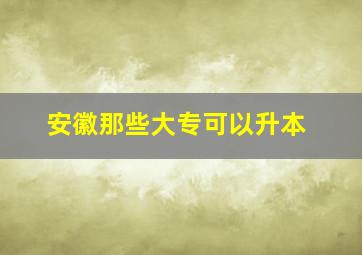 安徽那些大专可以升本