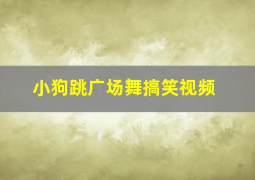 小狗跳广场舞搞笑视频