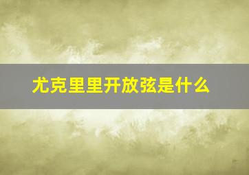 尤克里里开放弦是什么