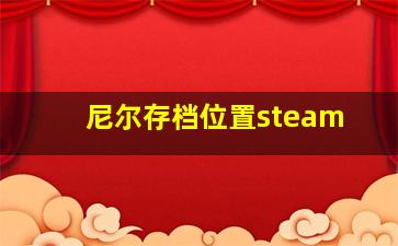 尼尔存档位置steam