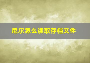 尼尔怎么读取存档文件