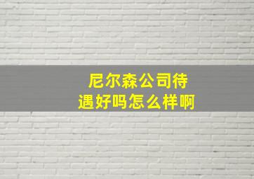 尼尔森公司待遇好吗怎么样啊