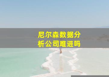 尼尔森数据分析公司难进吗