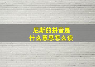 尼斯的拼音是什么意思怎么读