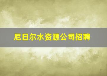 尼日尔水资源公司招聘